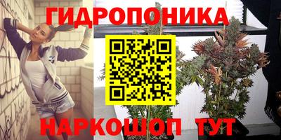 прущие крисы Азнакаево