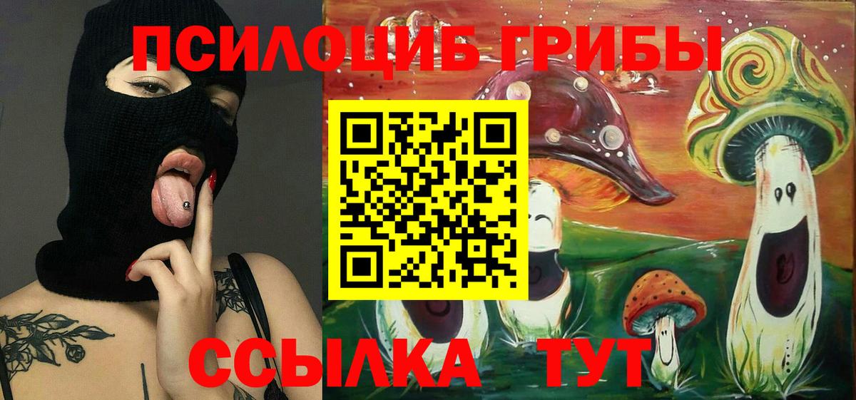 Псилоцибиновые грибы Psilocybine cubensis Александров