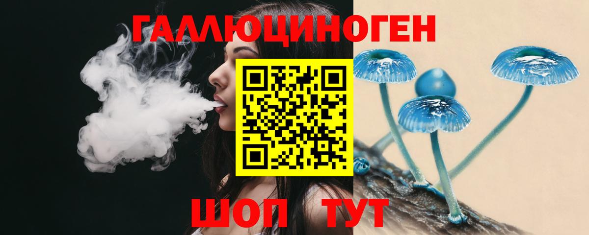 Александров  Псилоцибиновые грибы Psilocybe  Псилоцибиновые грибы Psilocybe  Вход с VPN 